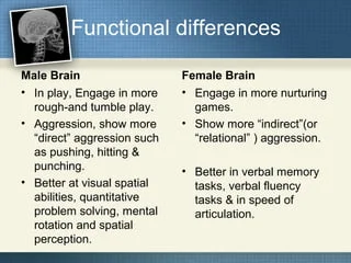 male and female brain differences male psyche,How does a guy's brain work,What do Men Desire?,How does the male brain fall in love?,What makes a man obsessed with a woman?