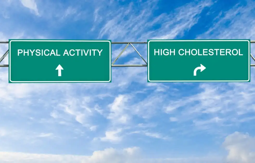 physical activity and high cholestrol